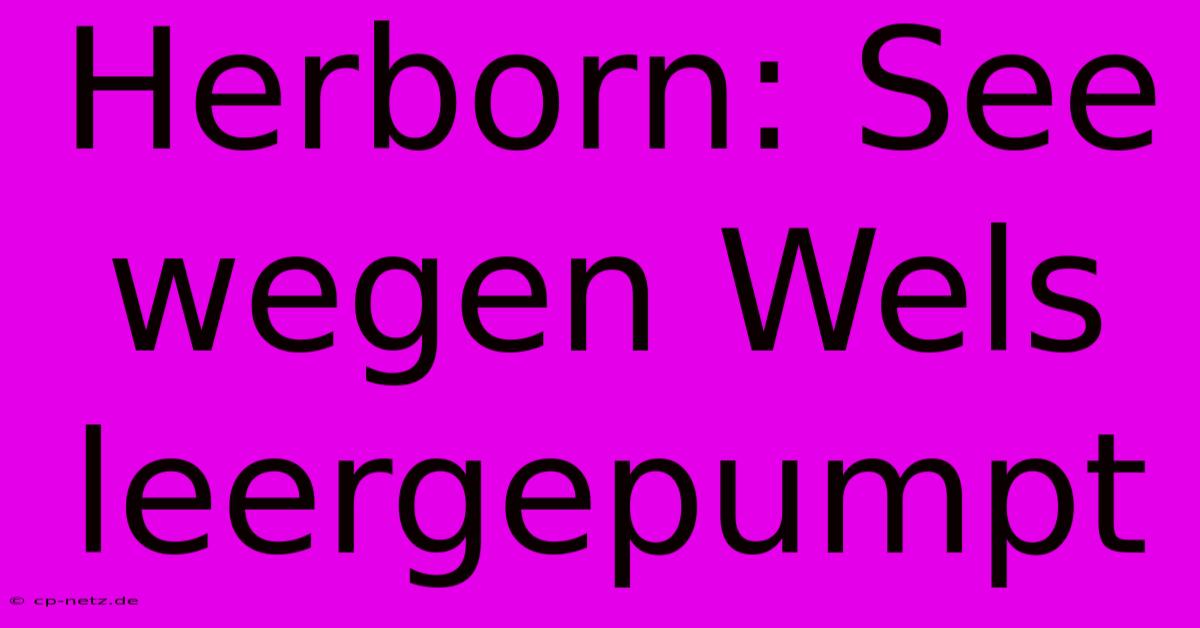 Herborn: See Wegen Wels Leergepumpt