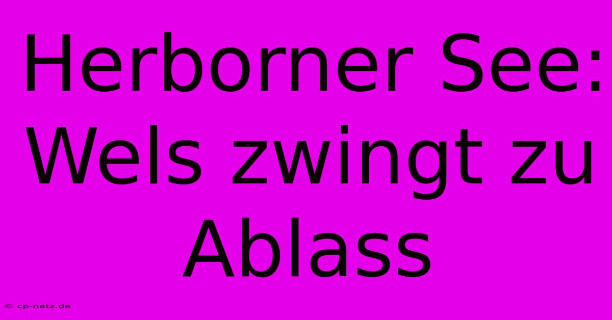 Herborner See: Wels Zwingt Zu Ablass