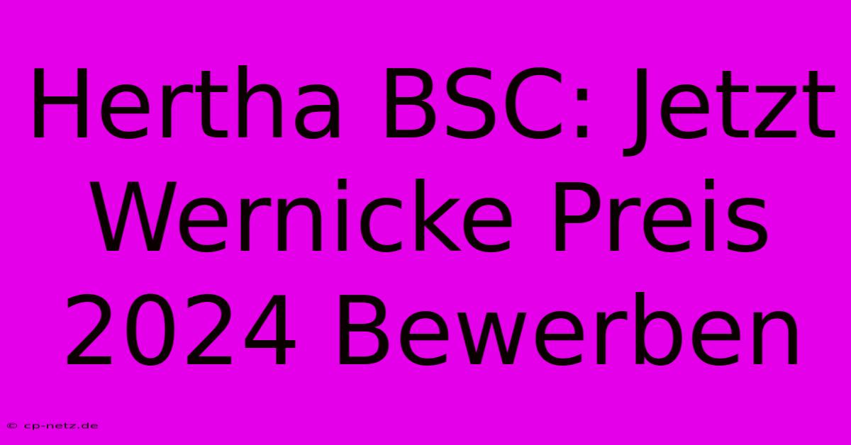 Hertha BSC: Jetzt Wernicke Preis 2024 Bewerben