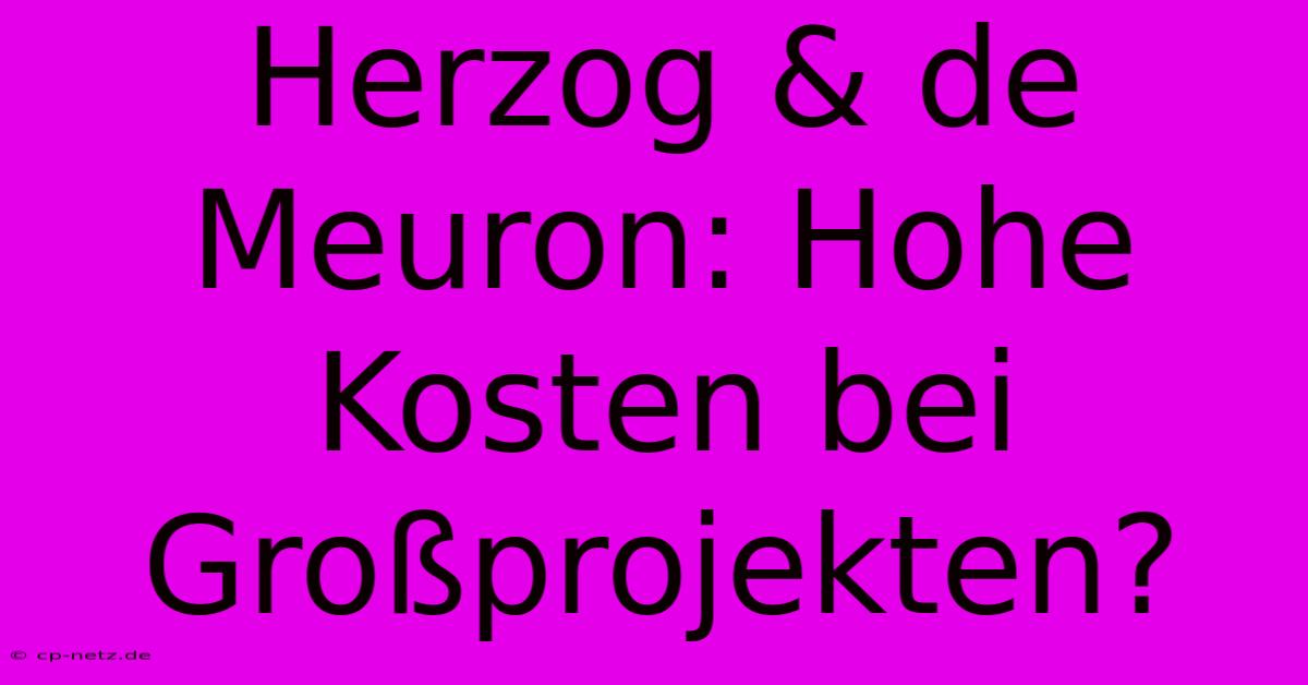 Herzog & De Meuron: Hohe Kosten Bei Großprojekten?