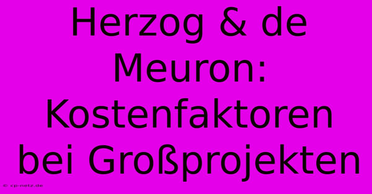 Herzog & De Meuron: Kostenfaktoren Bei Großprojekten