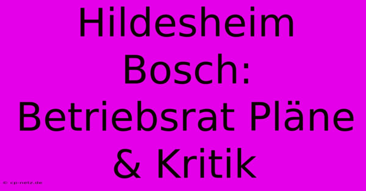 Hildesheim Bosch: Betriebsrat Pläne & Kritik