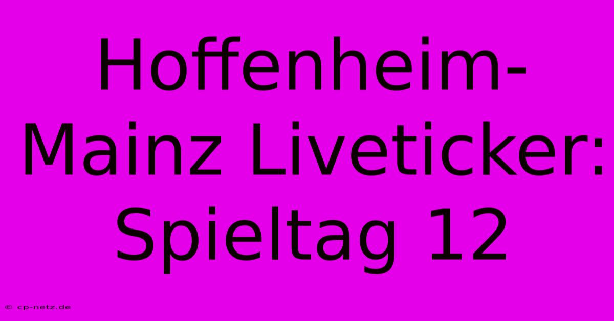 Hoffenheim-Mainz Liveticker: Spieltag 12