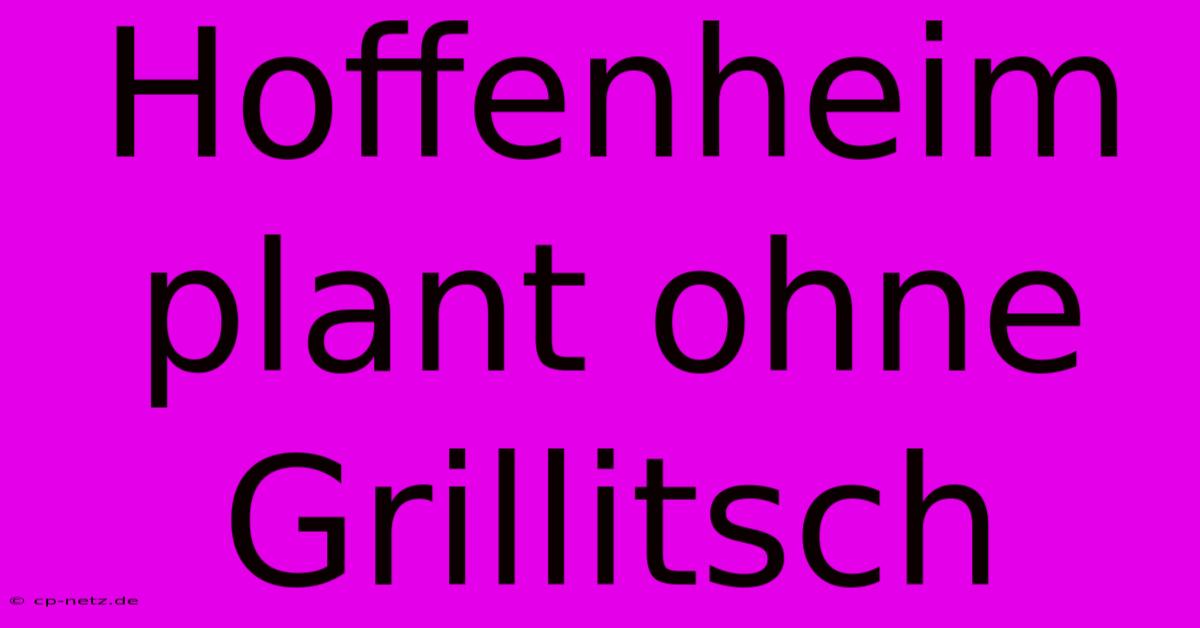 Hoffenheim Plant Ohne Grillitsch