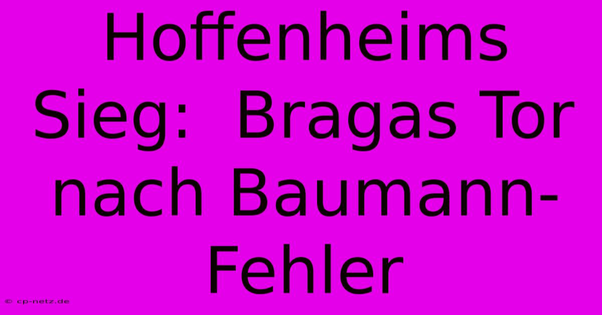 Hoffenheims Sieg:  Bragas Tor Nach Baumann-Fehler