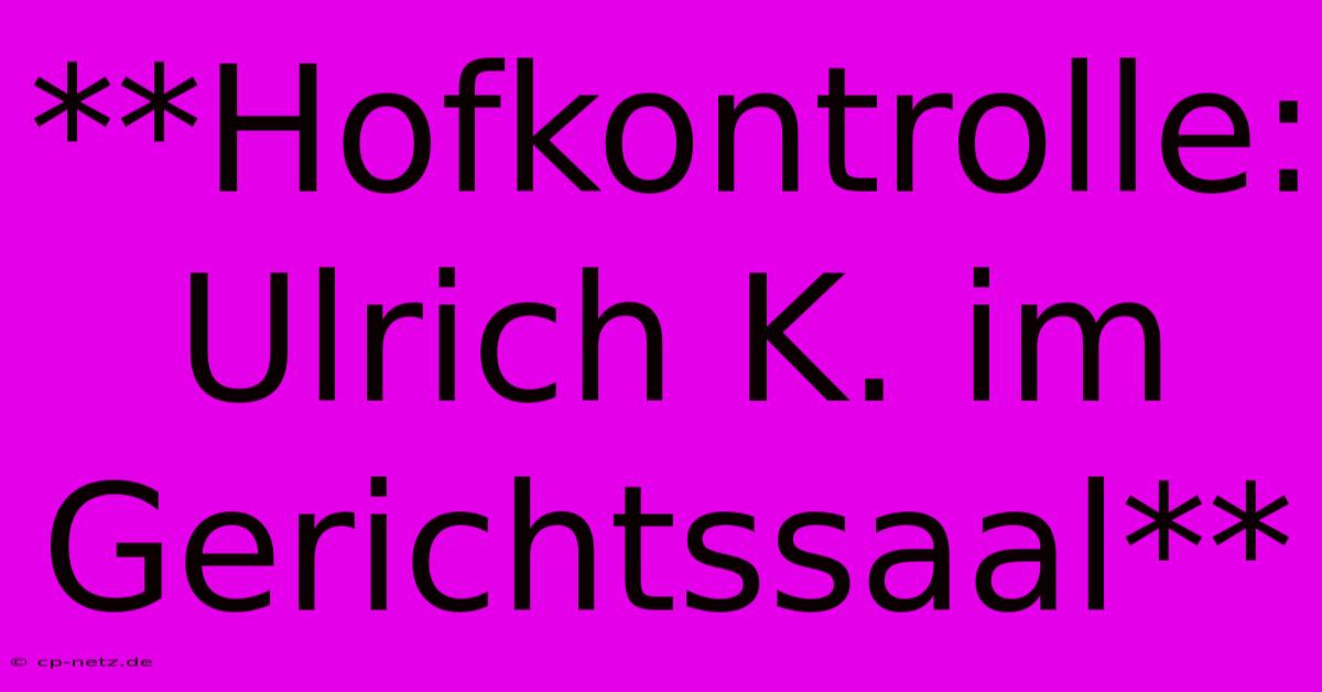 **Hofkontrolle: Ulrich K. Im Gerichtssaal**