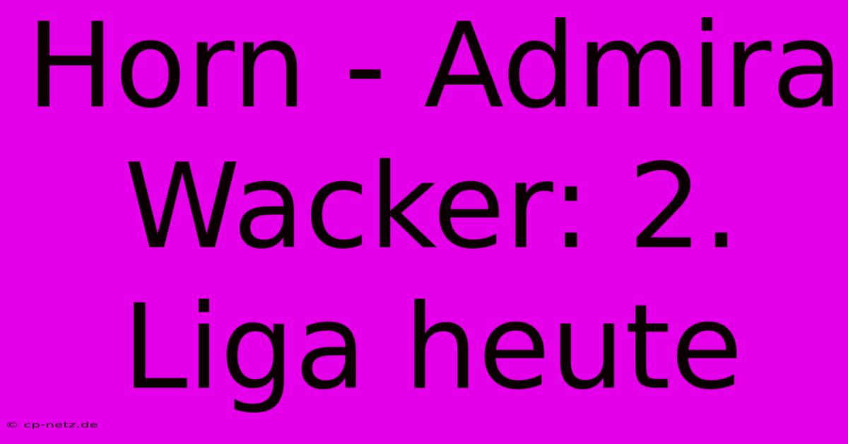 Horn - Admira Wacker: 2. Liga Heute