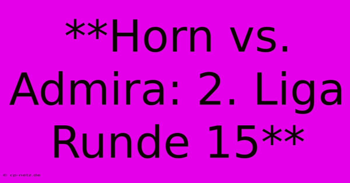 **Horn Vs. Admira: 2. Liga Runde 15**