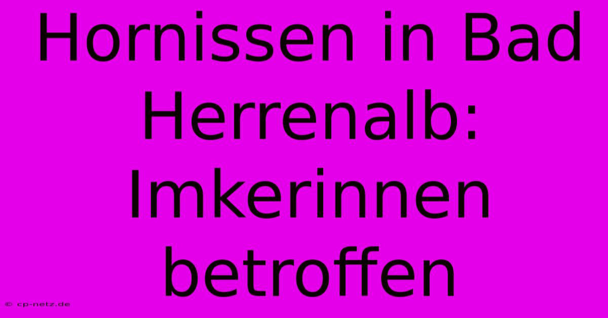 Hornissen In Bad Herrenalb: Imkerinnen Betroffen