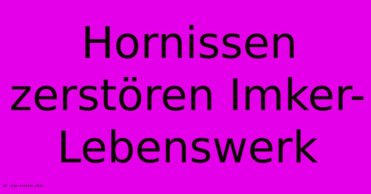 Hornissen Zerstören Imker-Lebenswerk