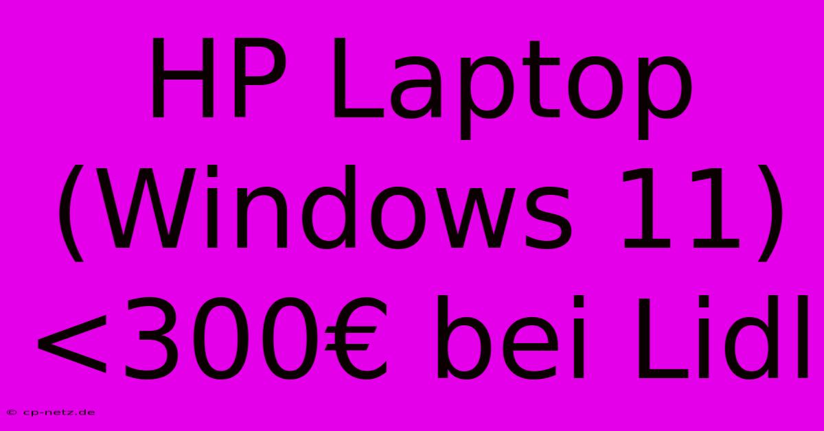 HP Laptop (Windows 11) <300€ Bei Lidl