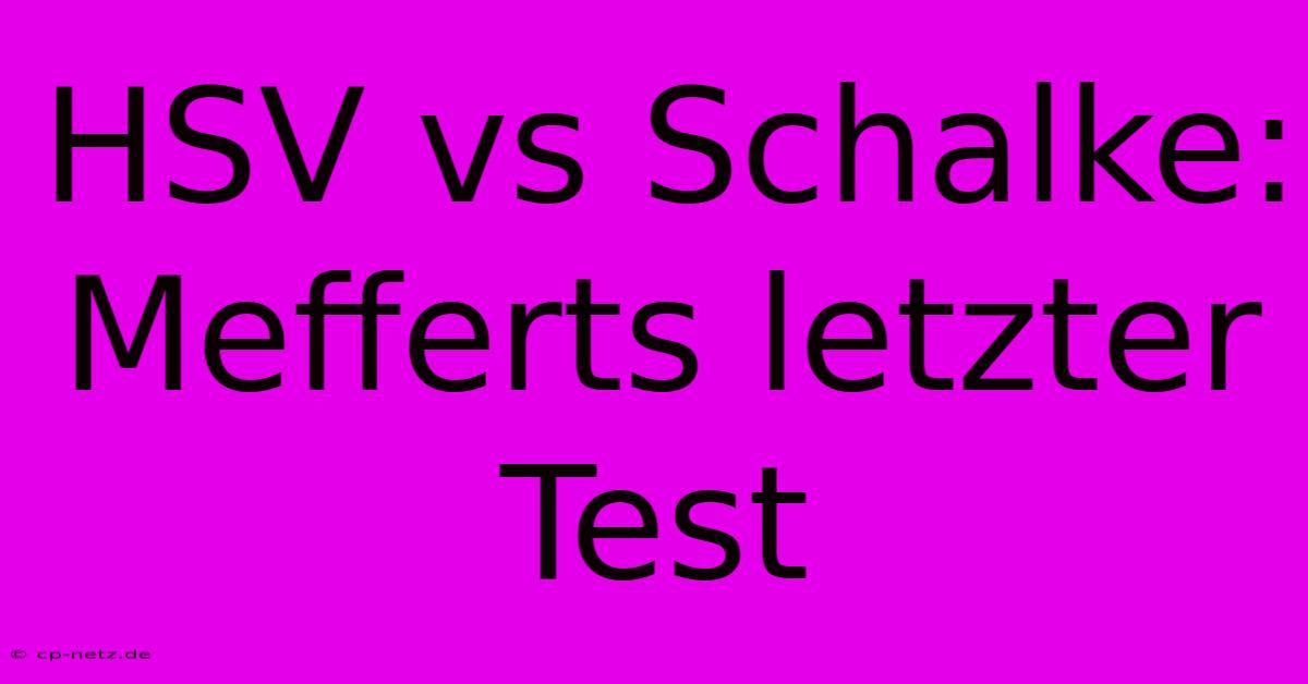 HSV Vs Schalke: Mefferts Letzter Test