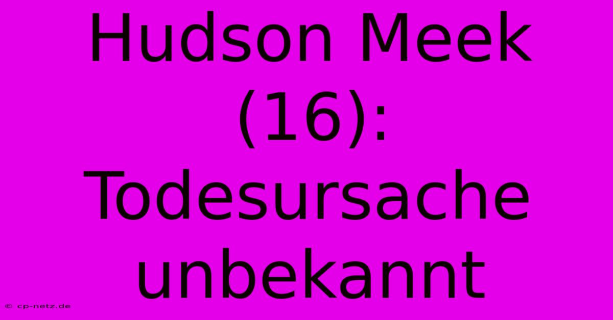 Hudson Meek (16): Todesursache Unbekannt