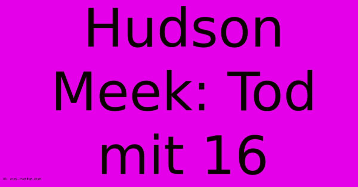 Hudson Meek: Tod Mit 16