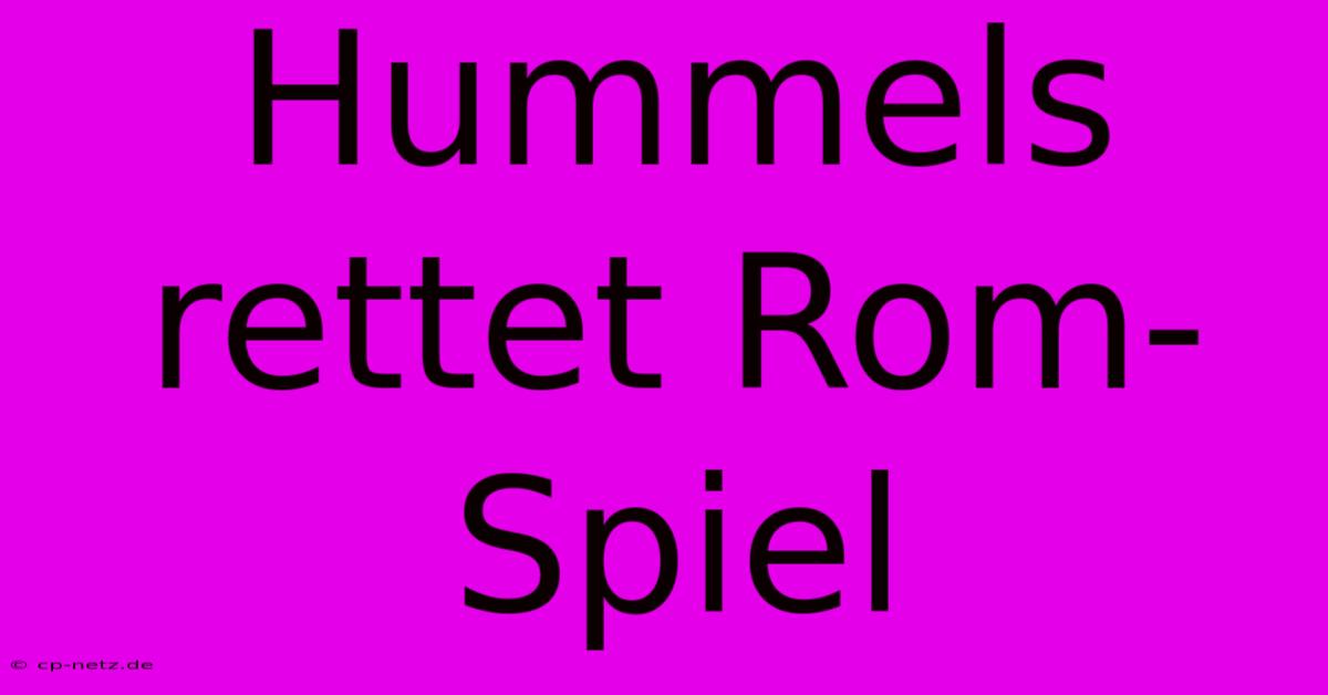 Hummels Rettet Rom-Spiel