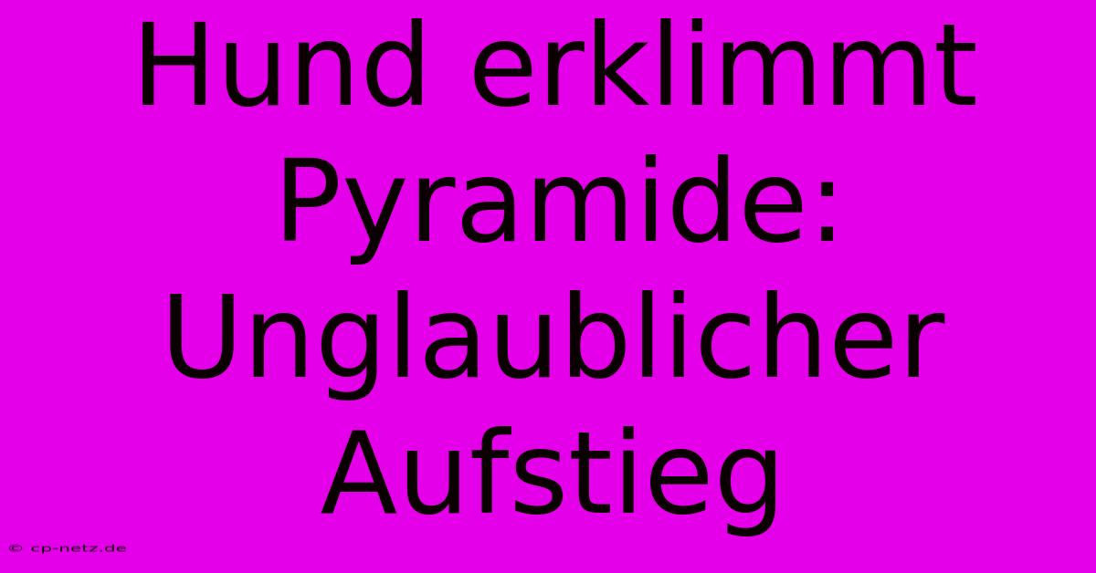 Hund Erklimmt Pyramide: Unglaublicher Aufstieg