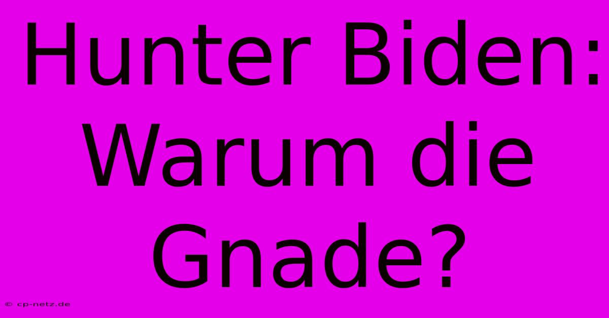 Hunter Biden:  Warum Die Gnade?