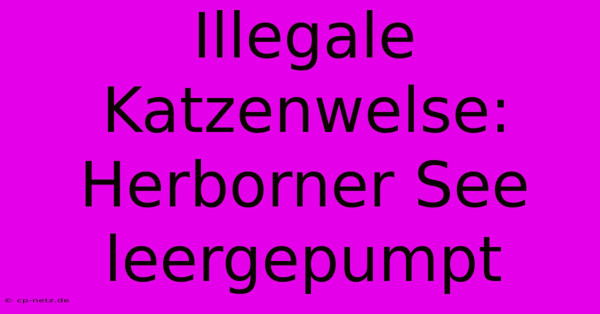 Illegale Katzenwelse: Herborner See Leergepumpt