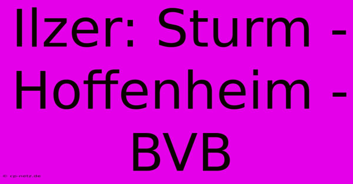 Ilzer: Sturm - Hoffenheim - BVB