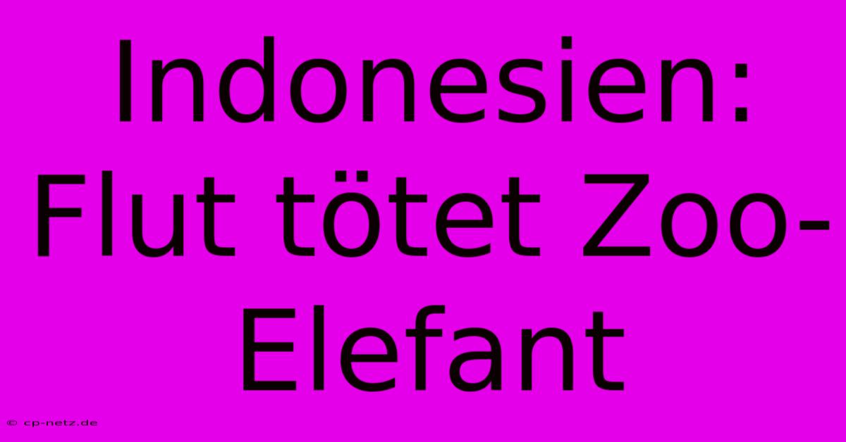 Indonesien: Flut Tötet Zoo-Elefant