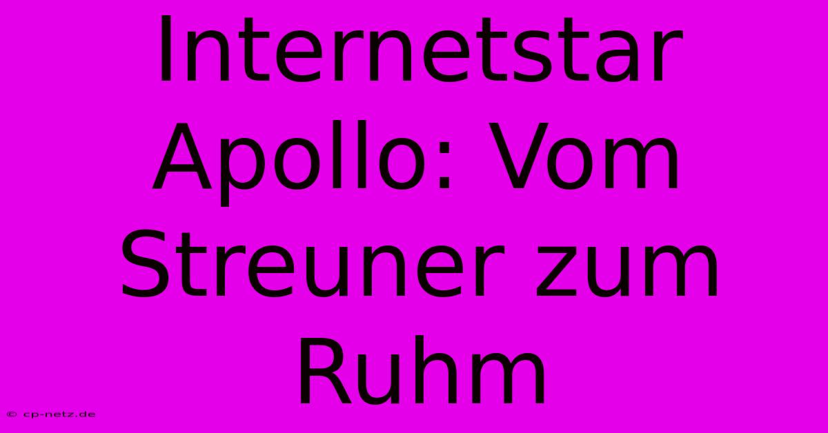 Internetstar Apollo: Vom Streuner Zum Ruhm