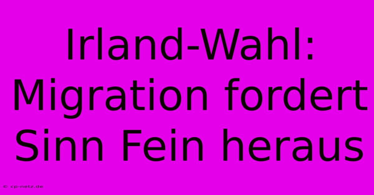 Irland-Wahl: Migration Fordert Sinn Fein Heraus 