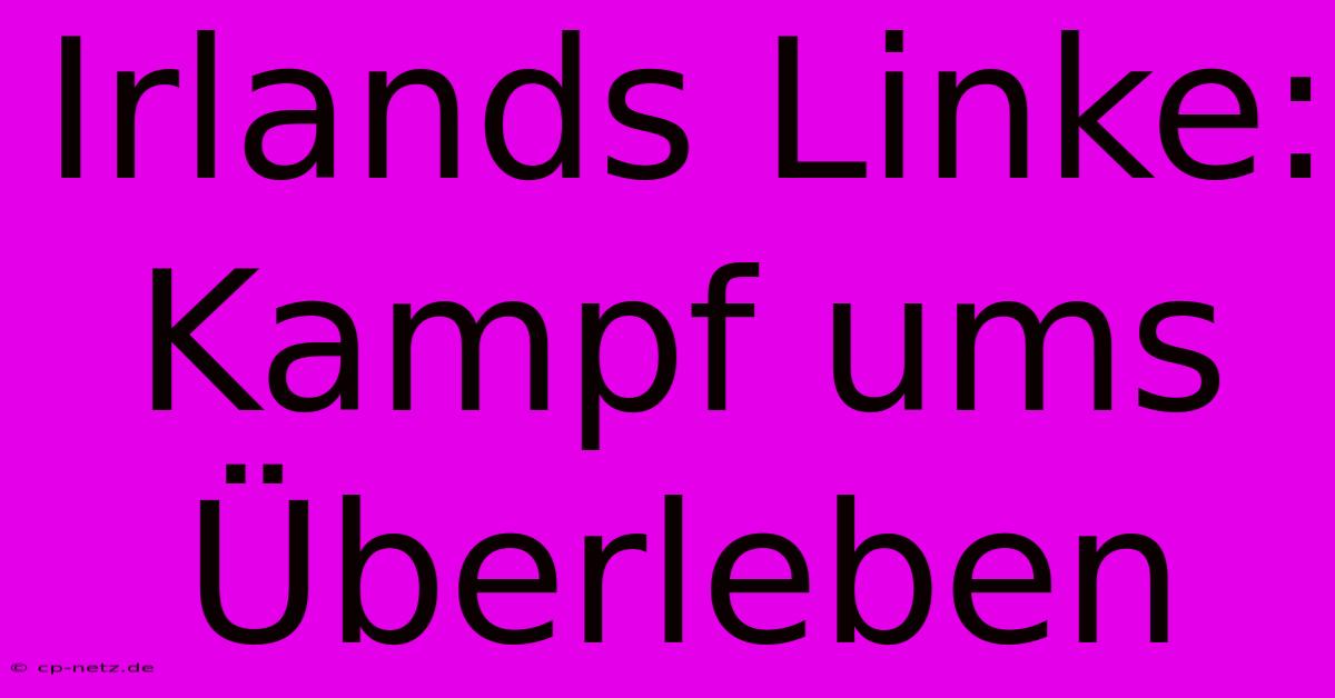 Irlands Linke: Kampf Ums Überleben