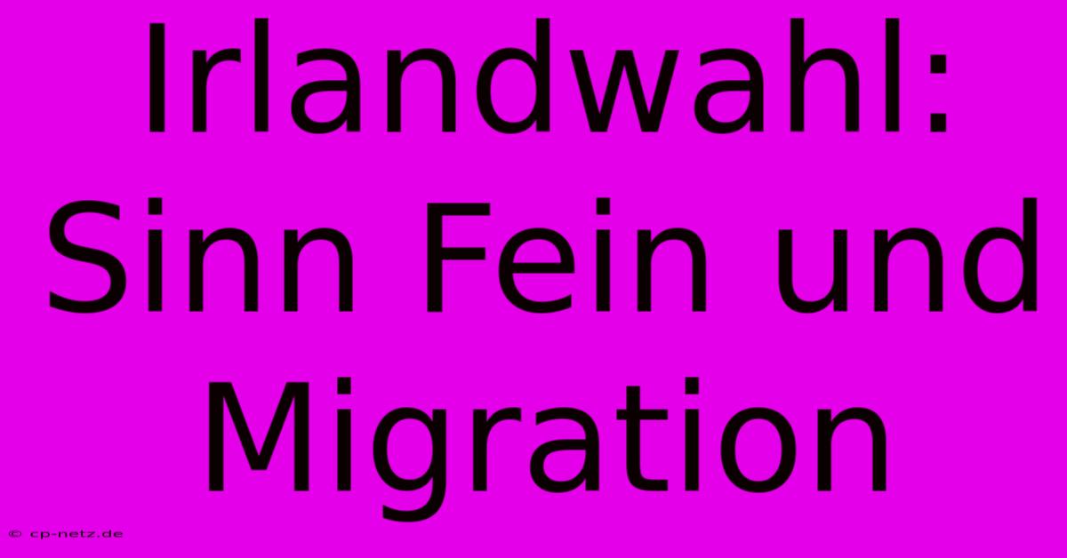 Irlandwahl: Sinn Fein Und Migration