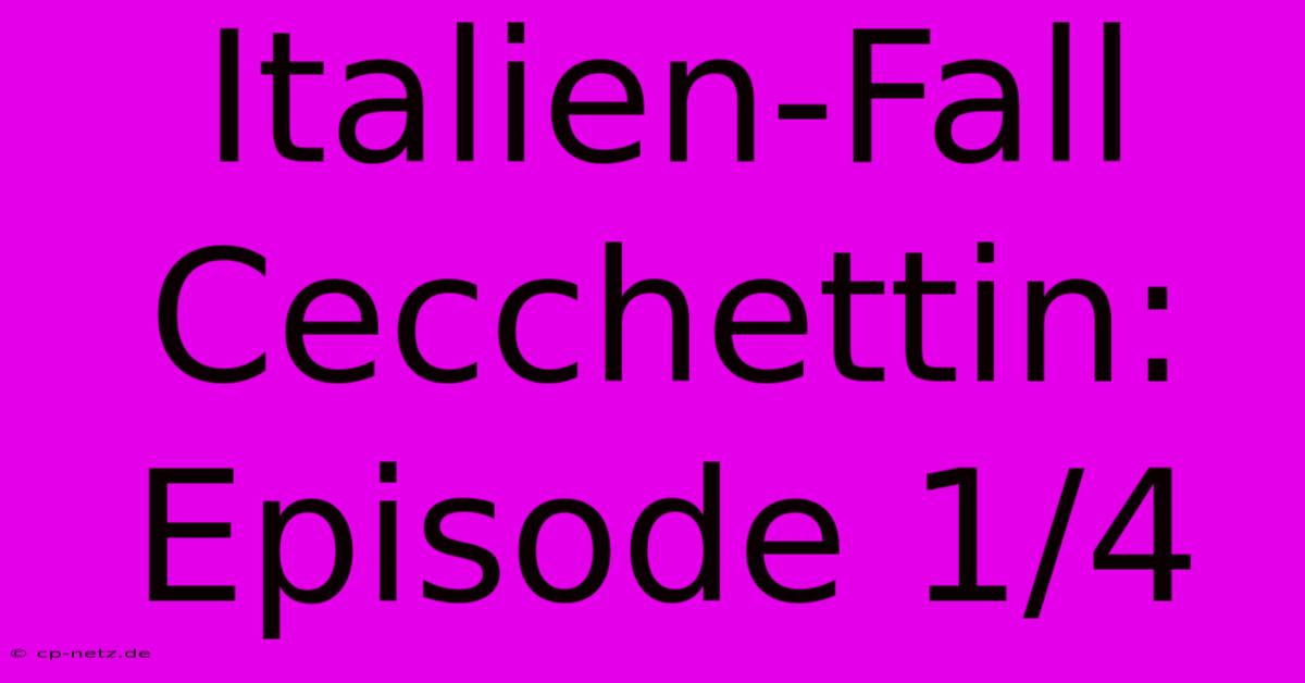 Italien-Fall Cecchettin: Episode 1/4