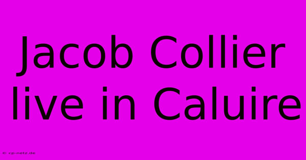 Jacob Collier Live In Caluire