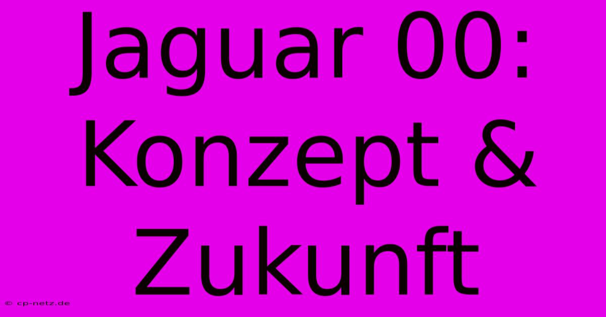 Jaguar 00: Konzept & Zukunft