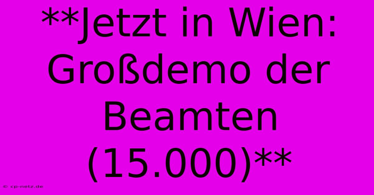 **Jetzt In Wien: Großdemo Der Beamten (15.000)**