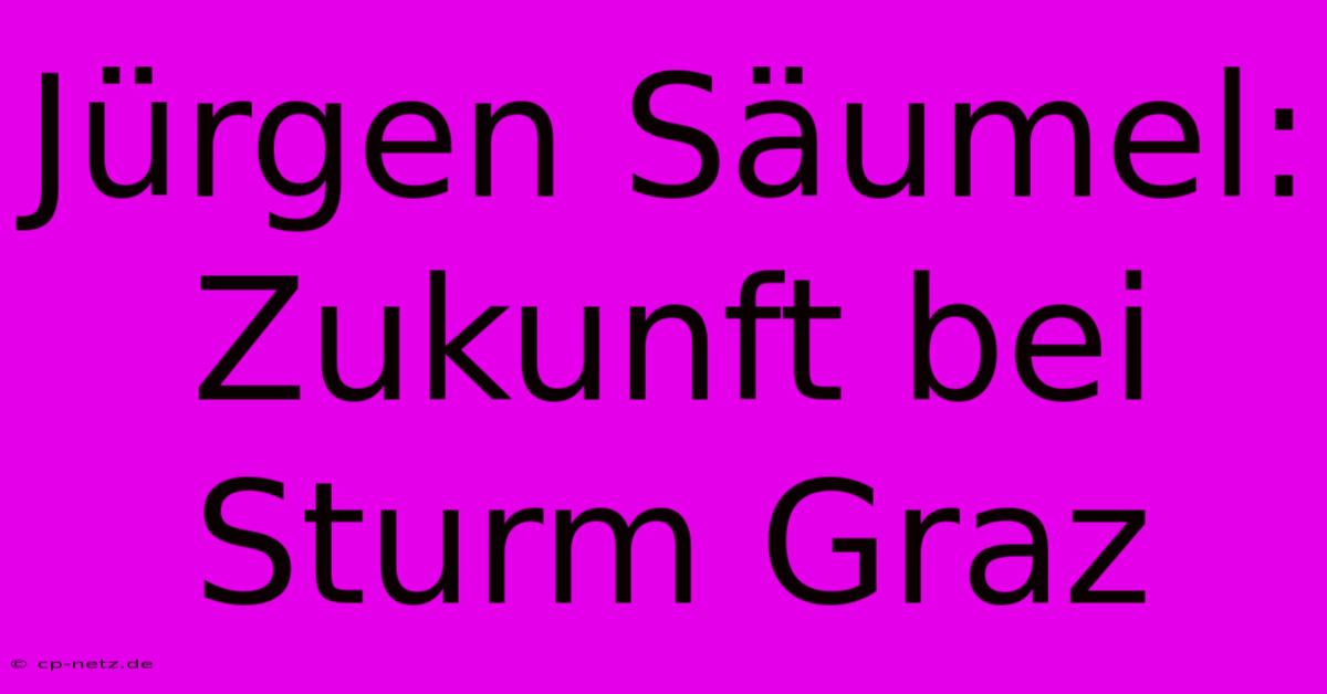 Jürgen Säumel: Zukunft Bei Sturm Graz