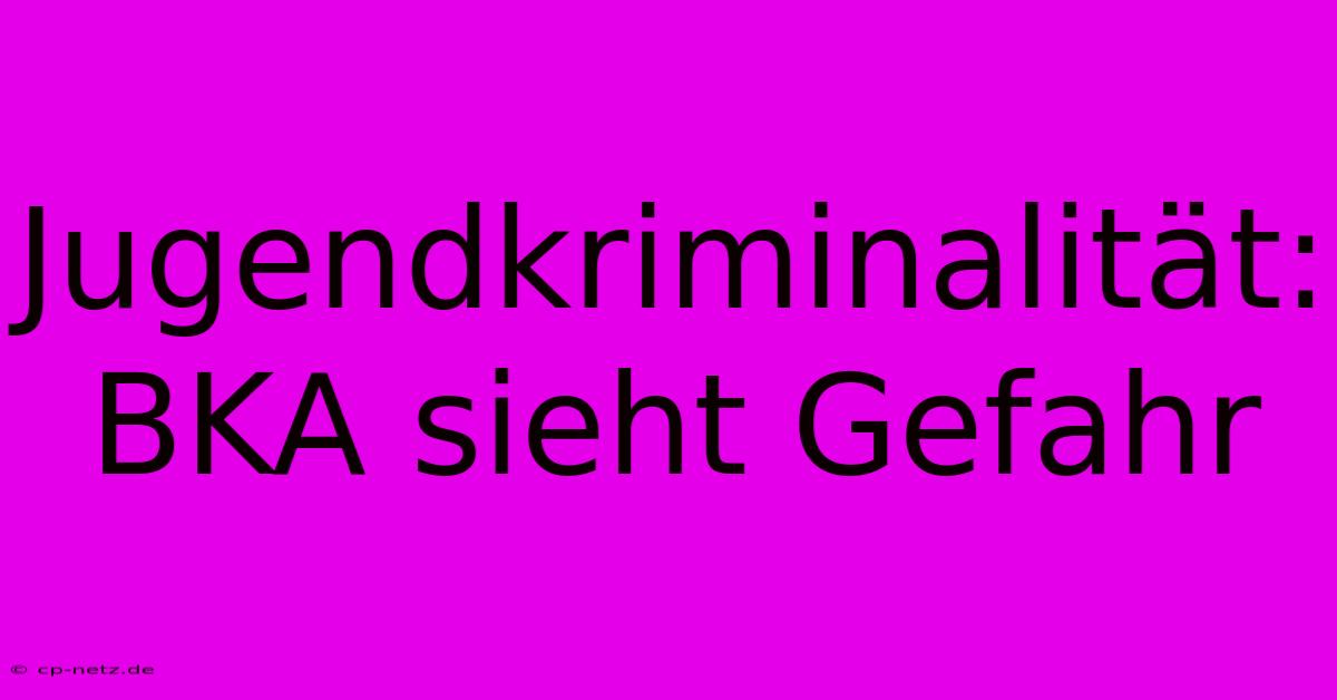 Jugendkriminalität: BKA Sieht Gefahr