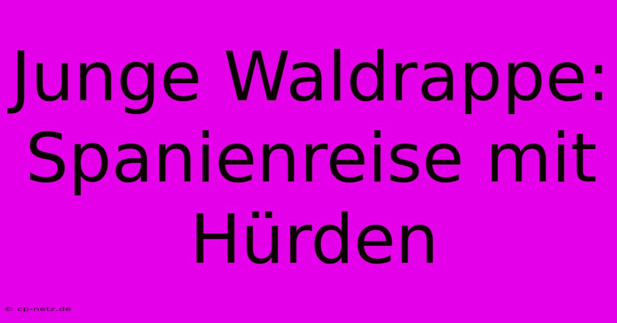 Junge Waldrappe:  Spanienreise Mit Hürden