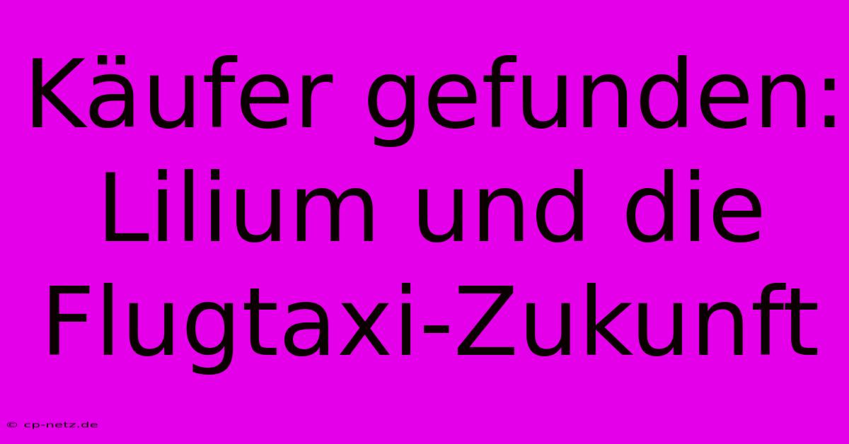 Käufer Gefunden: Lilium Und Die Flugtaxi-Zukunft