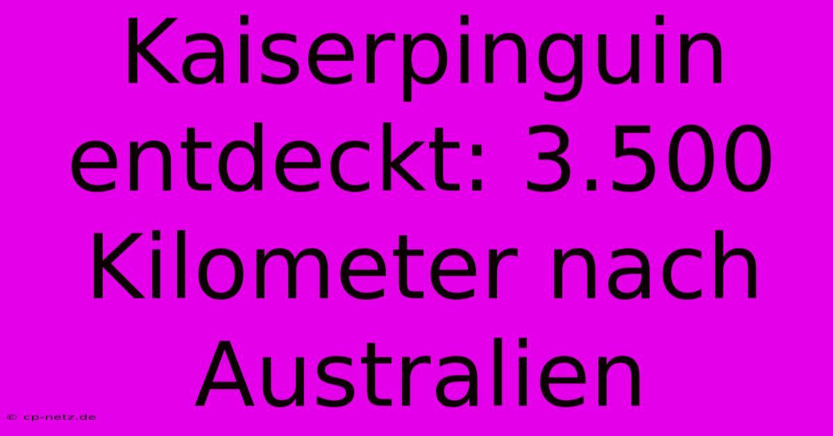 Kaiserpinguin Entdeckt: 3.500 Kilometer Nach Australien 