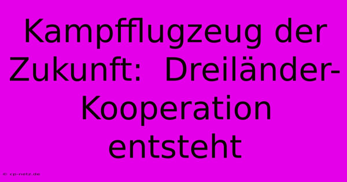 Kampfflugzeug Der Zukunft:  Dreiländer-Kooperation Entsteht