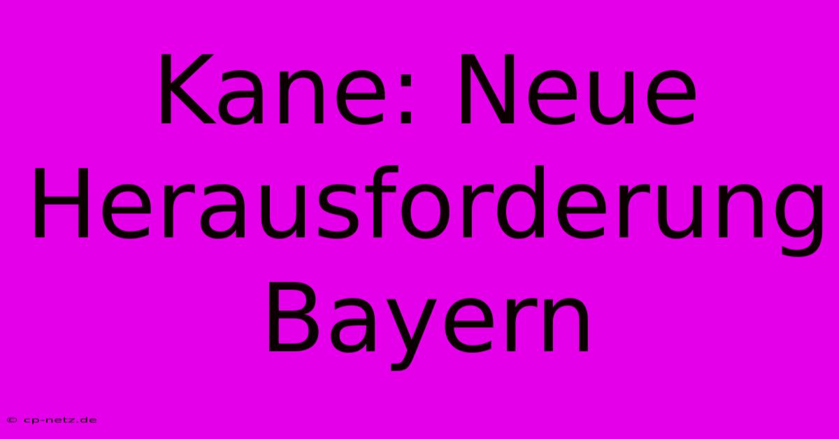 Kane: Neue Herausforderung Bayern