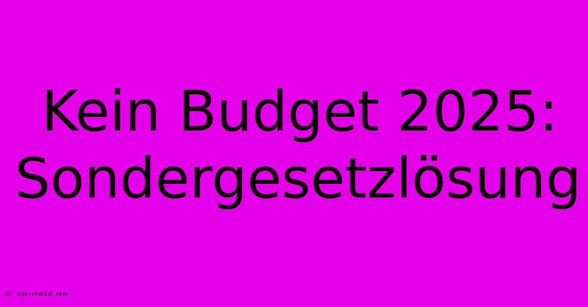 Kein Budget 2025: Sondergesetzlösung