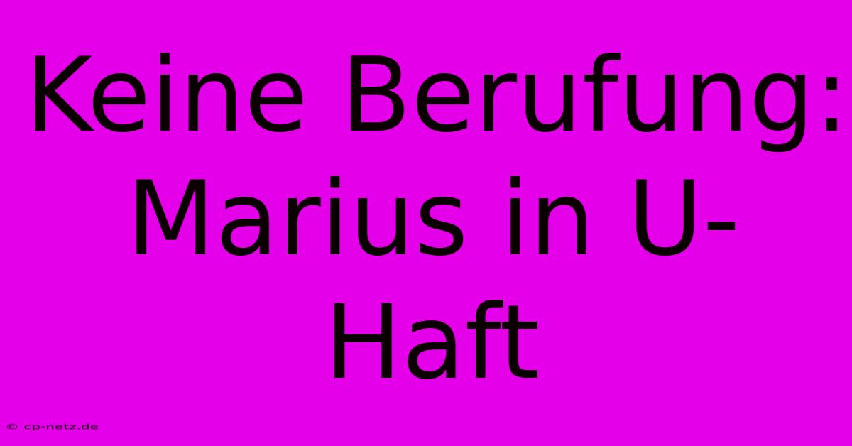 Keine Berufung: Marius In U-Haft