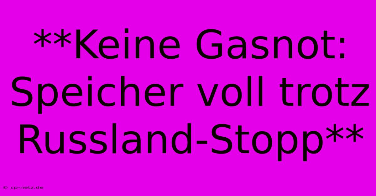 **Keine Gasnot: Speicher Voll Trotz Russland-Stopp**