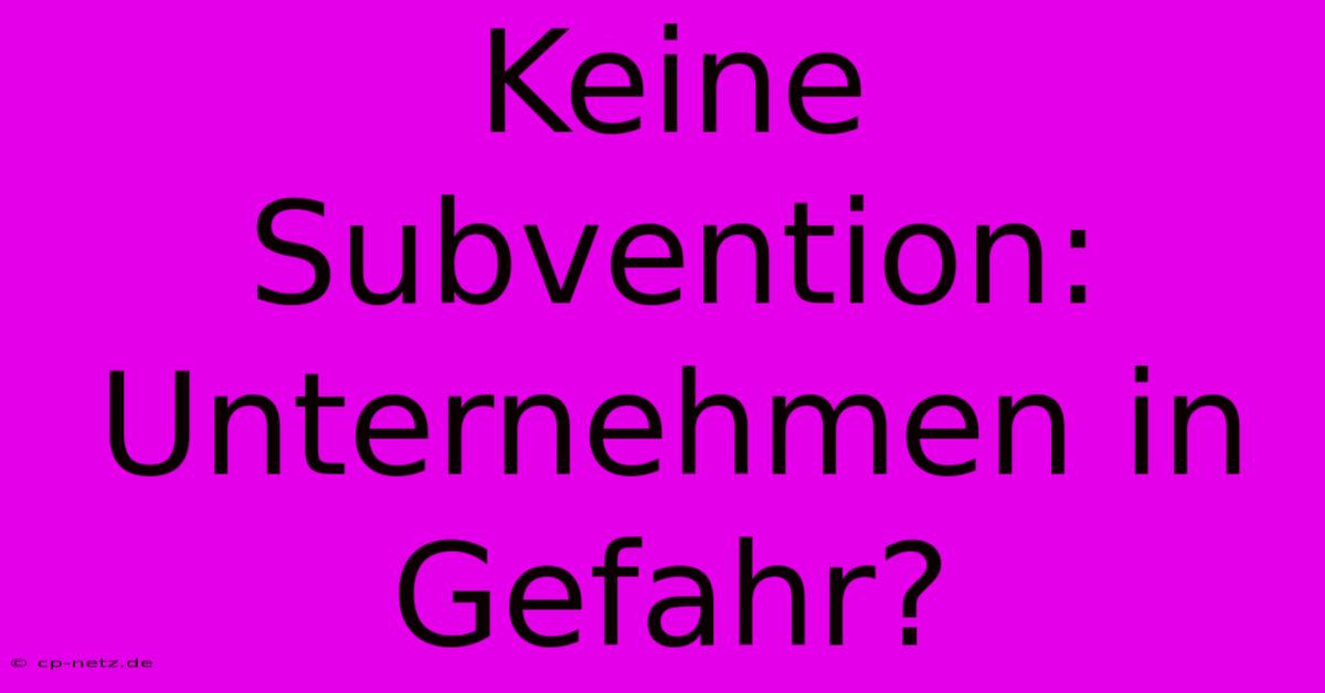 Keine Subvention: Unternehmen In Gefahr?