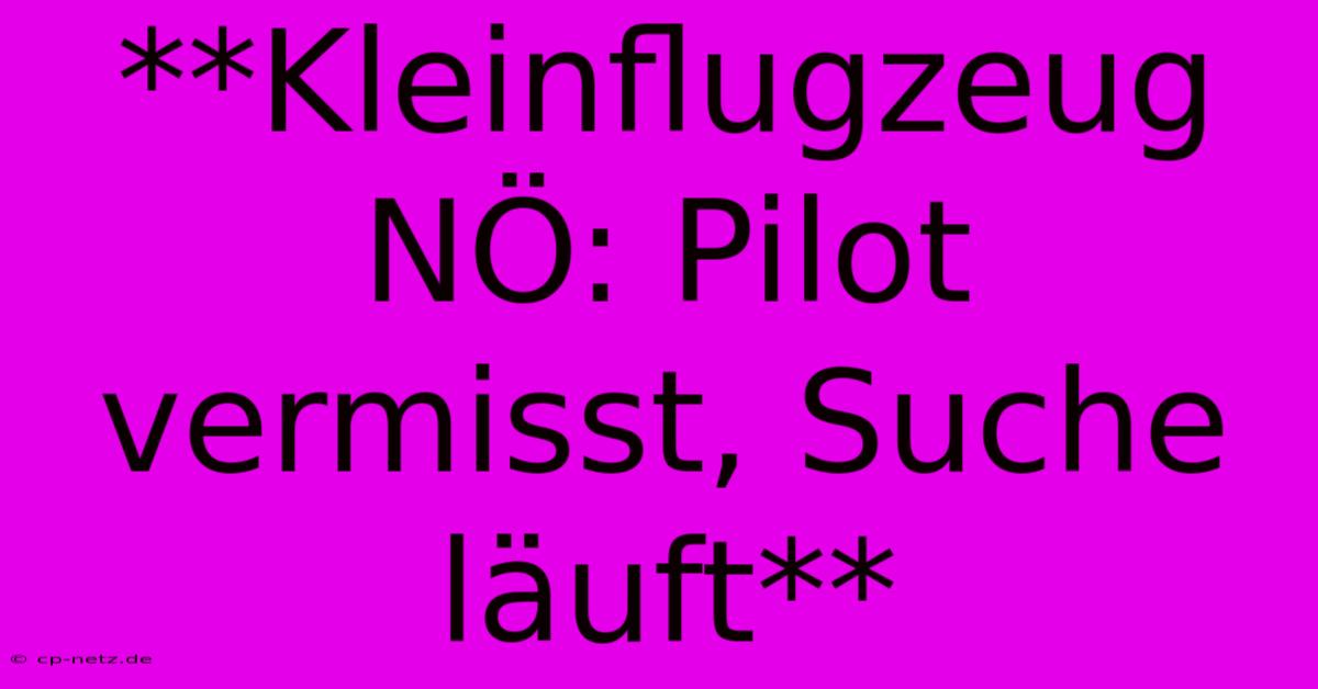 **Kleinflugzeug NÖ: Pilot Vermisst, Suche Läuft**