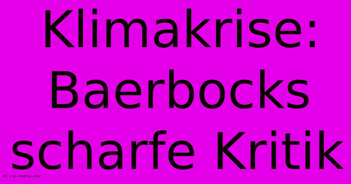 Klimakrise:  Baerbocks Scharfe Kritik