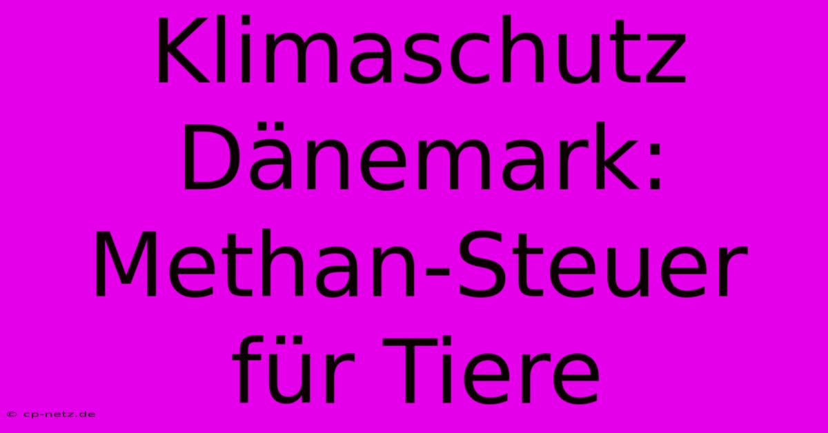 Klimaschutz Dänemark: Methan-Steuer Für Tiere