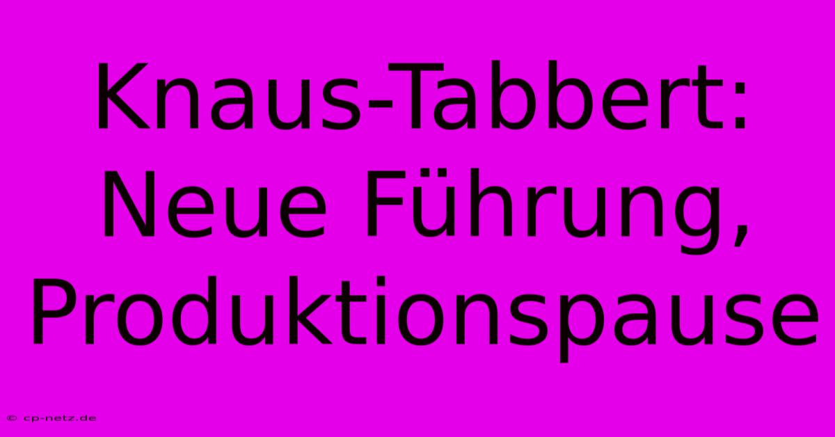 Knaus-Tabbert:  Neue Führung, Produktionspause