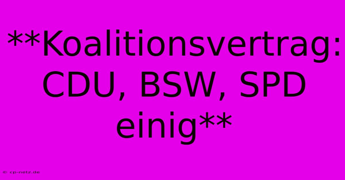 **Koalitionsvertrag: CDU, BSW, SPD Einig**