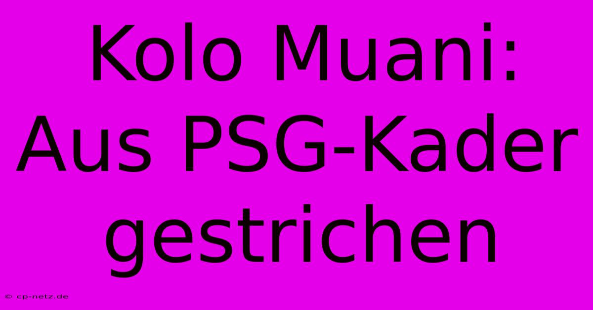 Kolo Muani: Aus PSG-Kader Gestrichen