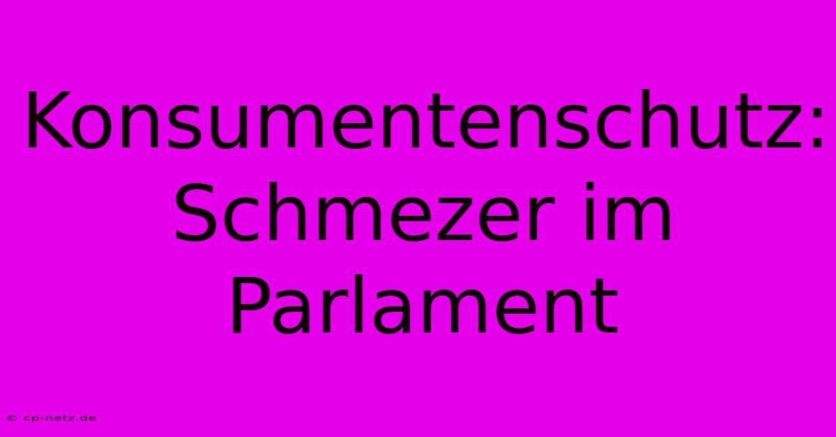 Konsumentenschutz: Schmezer Im Parlament